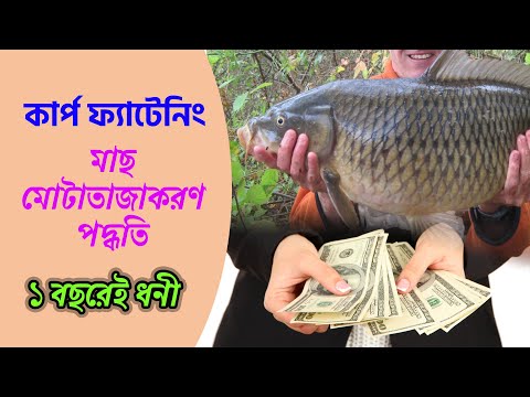 ভিডিও: কার্প কি খায়