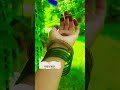 तेरे मेरे होंठो पर मीठे मीठे गीत मितवा💖🌿हर हर महादेव 🕉️🙏🏻 #shorts #minivlog #vlog #mahadev #viral