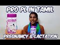 Pro pl protein for pregnancy  lactation in tamil  pro pl  protein powder for pregnancy  s square