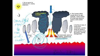 Year 11 Lesson 9 How are tropical storms formed Video Instructions