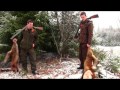 Et jaktår del 2, A hunting year part 2. Fox, Seal and beaver hunt