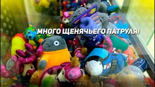 видео: ЗАХВАТ Аппаратов Хватайка! Щенячий патруль везде! картинка: ЗАХВАТ Аппаратов Хватайка! Щенячий патруль везде!