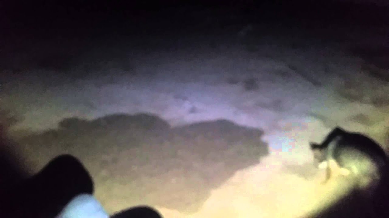 Badass flashlight coast hp550