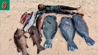 Spearfishing Extreme: Hunting Fish in the Maluku Sea, the Sula Archipelago | indonesian spearfishing