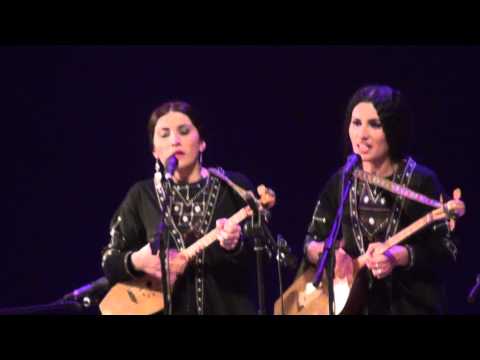 დები გოგოჭურები