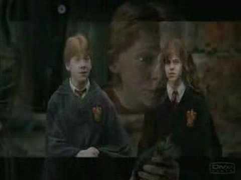 Ron and Hermione-Umbrell...