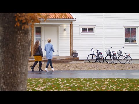 Video: Allt Om Fördelarna Med Bovete