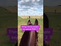 Tik toks for equestrians part 9