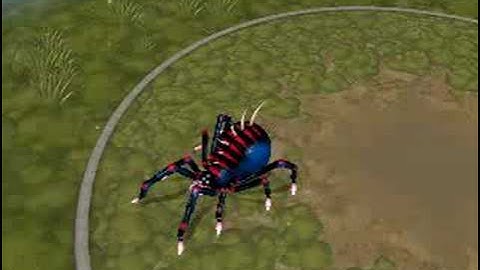 "Spyder" - Spore Creature Creator Video