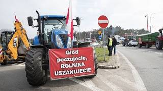 Polish President Nawrocki Proposes National Referendum On EU Green Deal; Will Fuel Prices Spike?