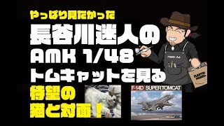 長谷川迷人のAMK 1/48 F-14Dトムキャットを見る