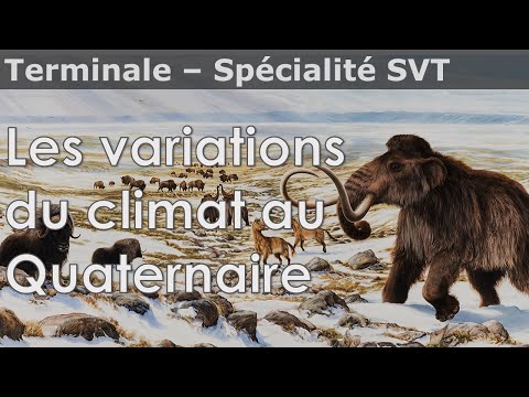 Variations du climat au Quaternaire - SVT - Terminale