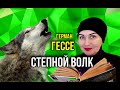 📚Читаем вместе //СТЕПНОЙ ВОЛК //Герман Гессе //Обзор✨