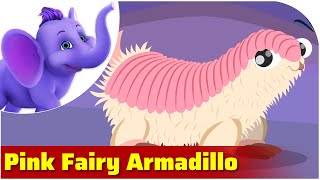 Pink Fairy Armadillo / Weird Animal Songs / Appu Series screenshot 5