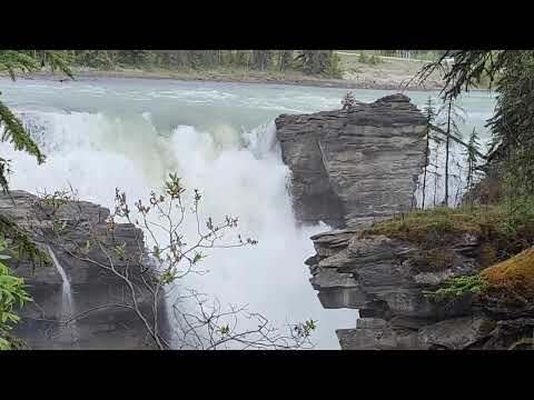 ATHABASCA FALLS #JASPER CANADA 🇨🇦