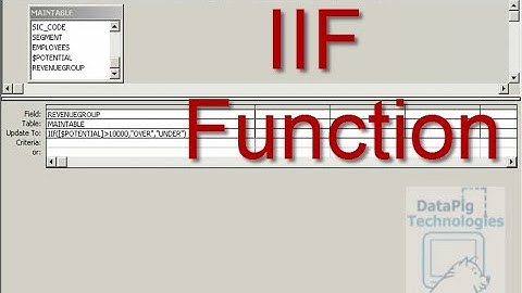 The versatile Immediate If (IIF) Function ~ DataPig