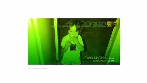 So Fierce flash website in 2003