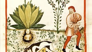 Les origines de l’argent - vision animiste