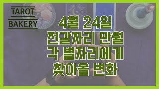 별자리별 전갈자리 만월에 찾아올 변화ㅣ타로 운세ㅣTAROT BAKERYㅣHOROSCOPEㅣ#타로ㅣ#별자리운세…