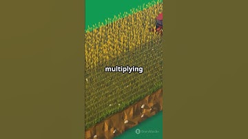 Farmers’ Secret: Intercropping for Massive Yields in 80 Seconds!