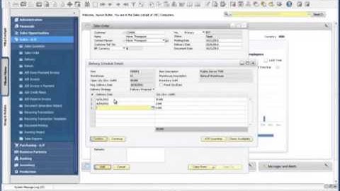 Demo Available to Promise: beschikbaar in tijd, in SAP Business One version for SAP HANA