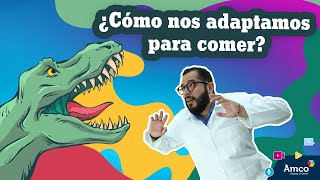 ¿Cómo nos adaptamos para comer?