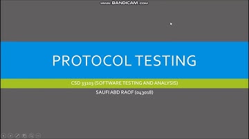 Protocol testing