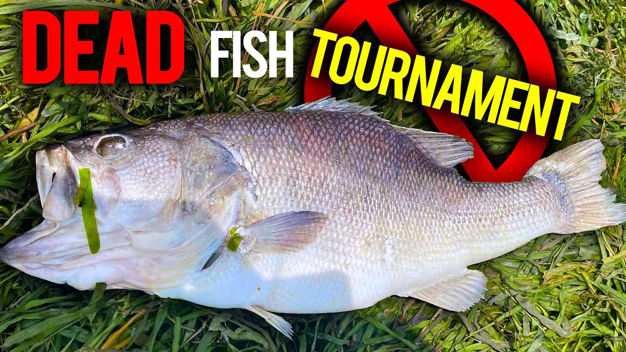 I HATE Seeing this at a TOURNAMENT 🤬