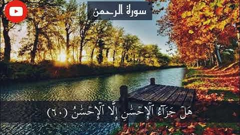 سورة الرحمن page 533{القارئ اسلام صبحي }