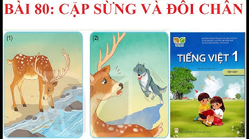 [Kể chuyện lớp 1] Bài 80: Cặp sừng và đôi chân | Sách Kết nối tri thức với cuộc sống.