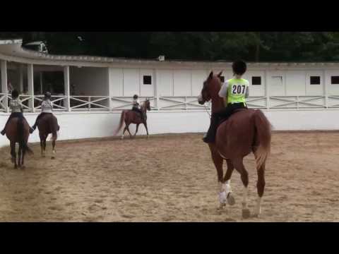 Sadie Blowing Rock Charity Horse Show (1/2)