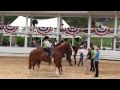 Sadie Blowing Rock Charity Horse Show (1/2)