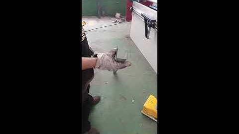 160T/4000 DE-15 Electro-hydraulic servo bending machine inspection video for UK customer