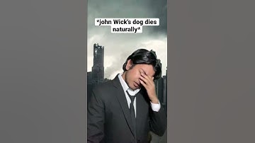 When John Wicks Dog Dies naturally #shorts #916shorts #viral