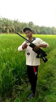 Cara ampuh mengusir burung pipit