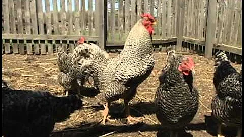 1860s-Style Kelley Farm Begins $14M Revitalization Project