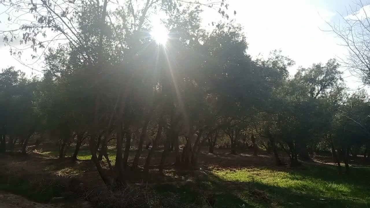 شاهد فديو دوار وذكر/ أزرو وذكر/ نواحي أمزميز اقليم الحوز✓✓wadakar/ azrou wadakar 2022 🇲🇦🇲🇦🇲🇦🇲🇦