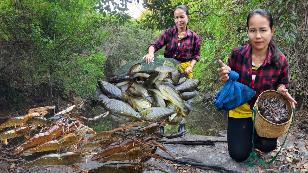 เเตกซวดๆ!!!ทุั้งปลาทั้งกุ้ง!!ดักมุ้งข้ามคืน!!หมานสุดยอดจ้า19/2/69🦀🦐🦐🐟🐟