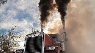 BIG DIESEL PETERBILT ENGINES COLD STARTING UP AND SOUND