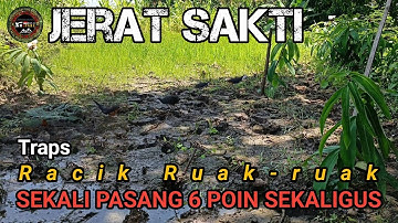 Jerat racik ruak ruak ‼️Double strike ruak-ruak berkali-kali