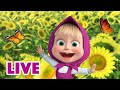 🔴 AO VIVO 👱♀️🐻 Masha e o Urso ☀🏖 Banhe-se à luz do sol 😎☀ Masha and the Bear