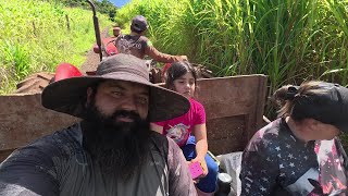 Download Lagu finalizando a parede das pedras e arrancamos mais 300 kg de mandioca MP3