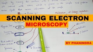 Scanning electron microscopy | SEM | Principle | mechanism