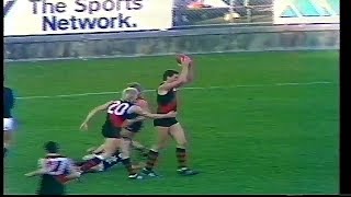 1987   Rnd 18  Carlton v Essendon