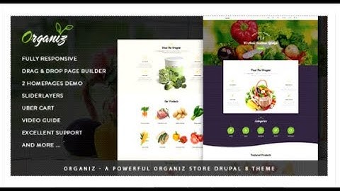 Organiz - A Powerful Organiz Store Drupal 8 Theme | Themeforest Download