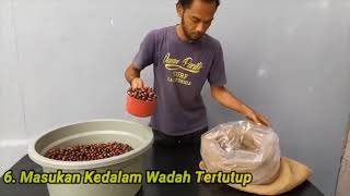 Pembuatan Kopi Wine Dengan Teknik Konvensional