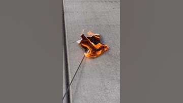 #sparkler #sparklers #fireworks #sparky