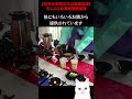 【笑ったら負け】「日本の茶道文化は韓国起源」