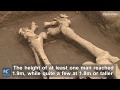 Archaeologists find 5000yearold giants in shandong china