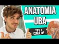 ANATOMIA MEDICINA UBA - Cátedras, parciales y tips que DEBES saber